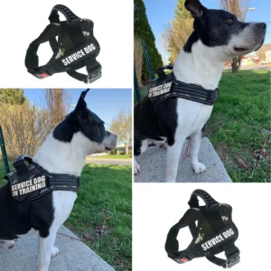 Petura Reflective Comfort Harness – Adjustable, Padded & Weather-Ready