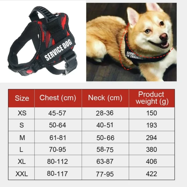 Petura Reflective Comfort Harness – Adjustable, Padded & Weather-Ready - Image 4