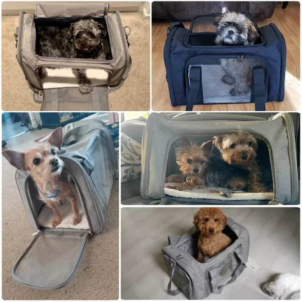 Airline-Approved Soft-Sided Pet Travel Backpack – For Small Dogs & Cats
