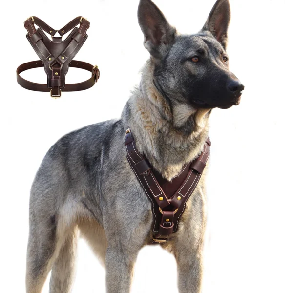 Premium Genuine Leather Dog Harness – Adjustable No-Pull Vest for Large Breeds - Image 2